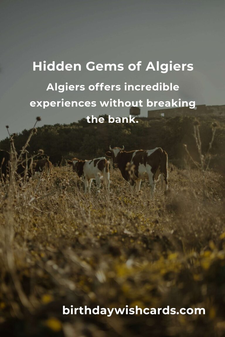 Discovering Algiers: Hidden Budget Destinations That Will Steal Your Heart