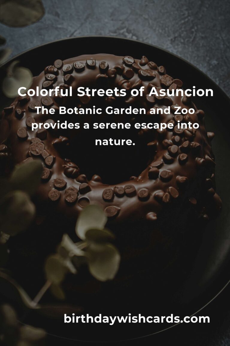 Discovering Asuncion: 33 Budget-Friendly Destinations That Will Steal Your Heart