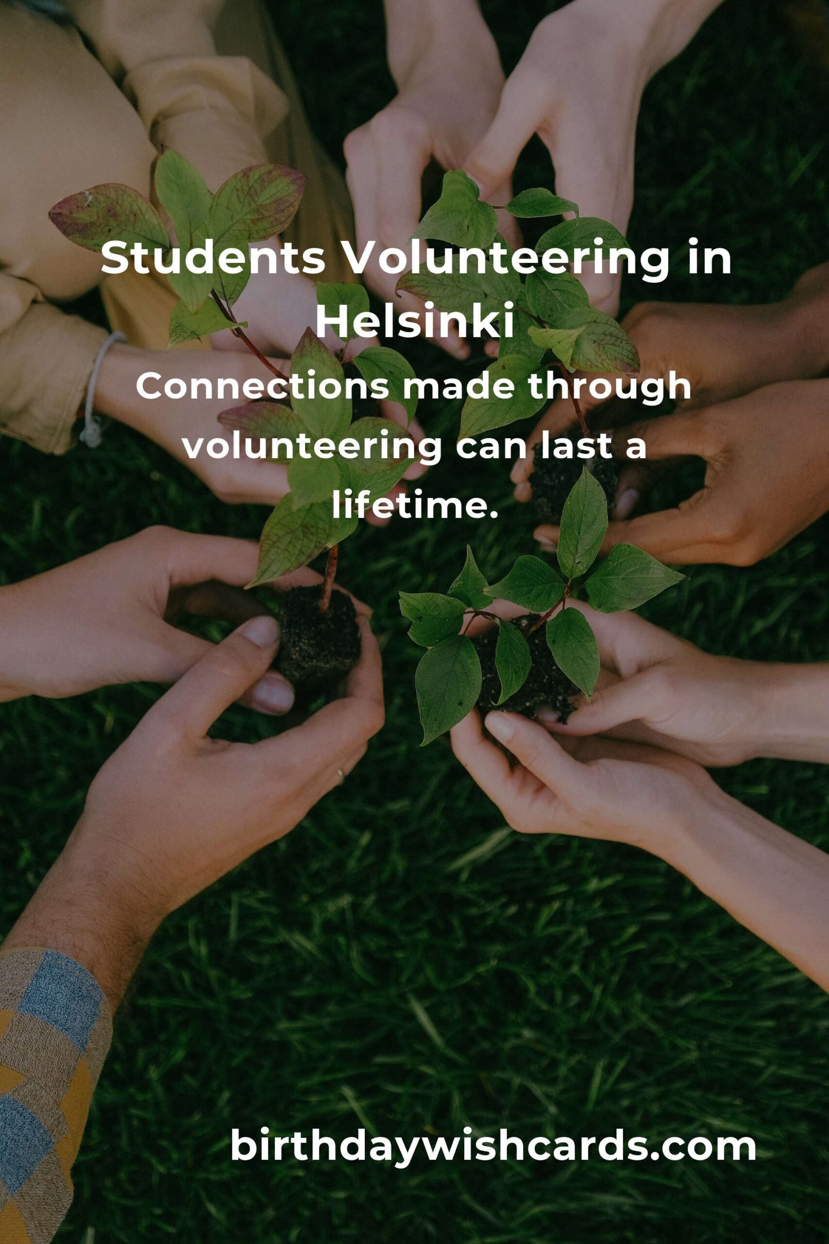 Discovering Heartfelt Volunteer Opportunities for Students in Helsinki