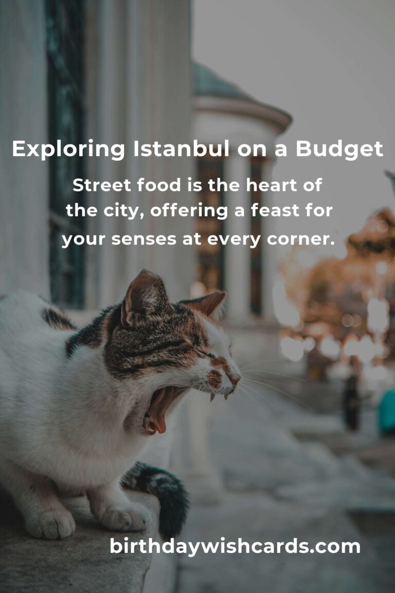 Discovering Istanbul on a Shoestring: A Budget Traveler’s Guide to the City's Hidden Gems