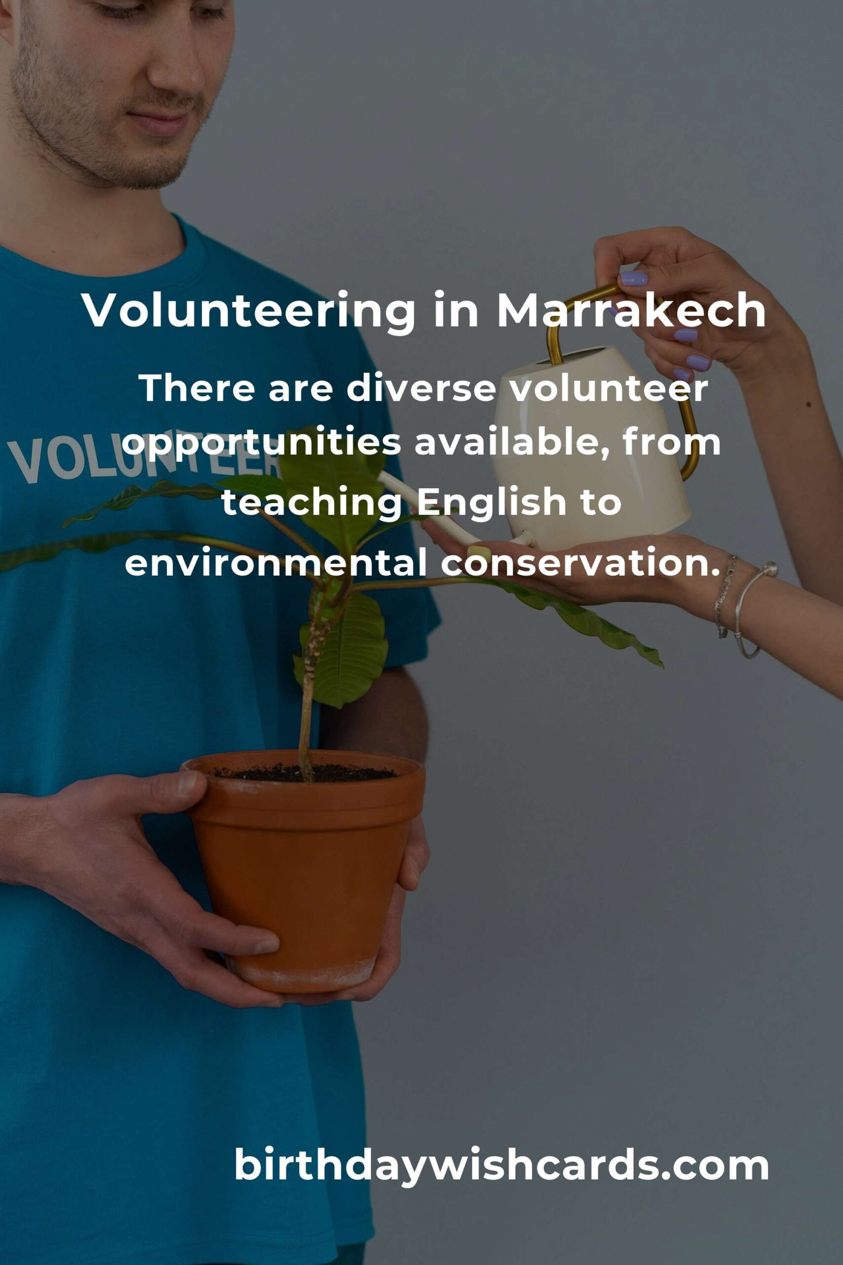 Discovering Marrakech: Volunteer Opportunities That Won’t Break the Bank