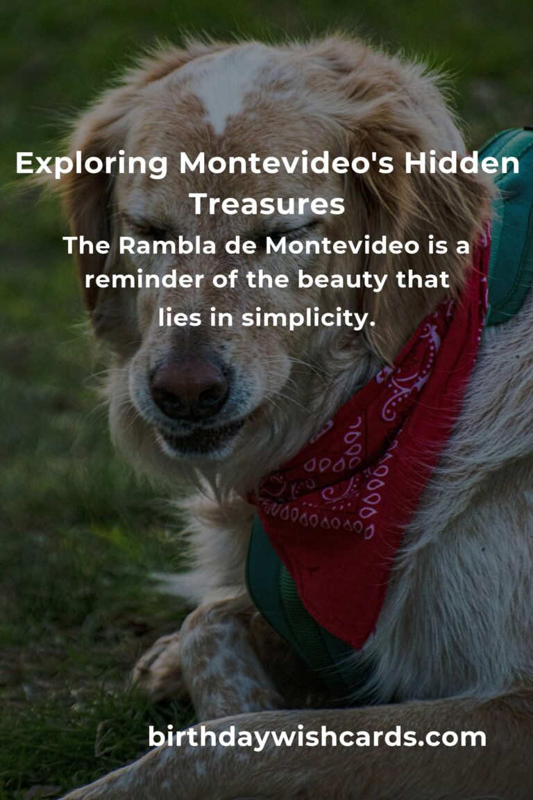 Discovering Montevideo: An Emotional Journey Through Its Hidden Adventure Spots