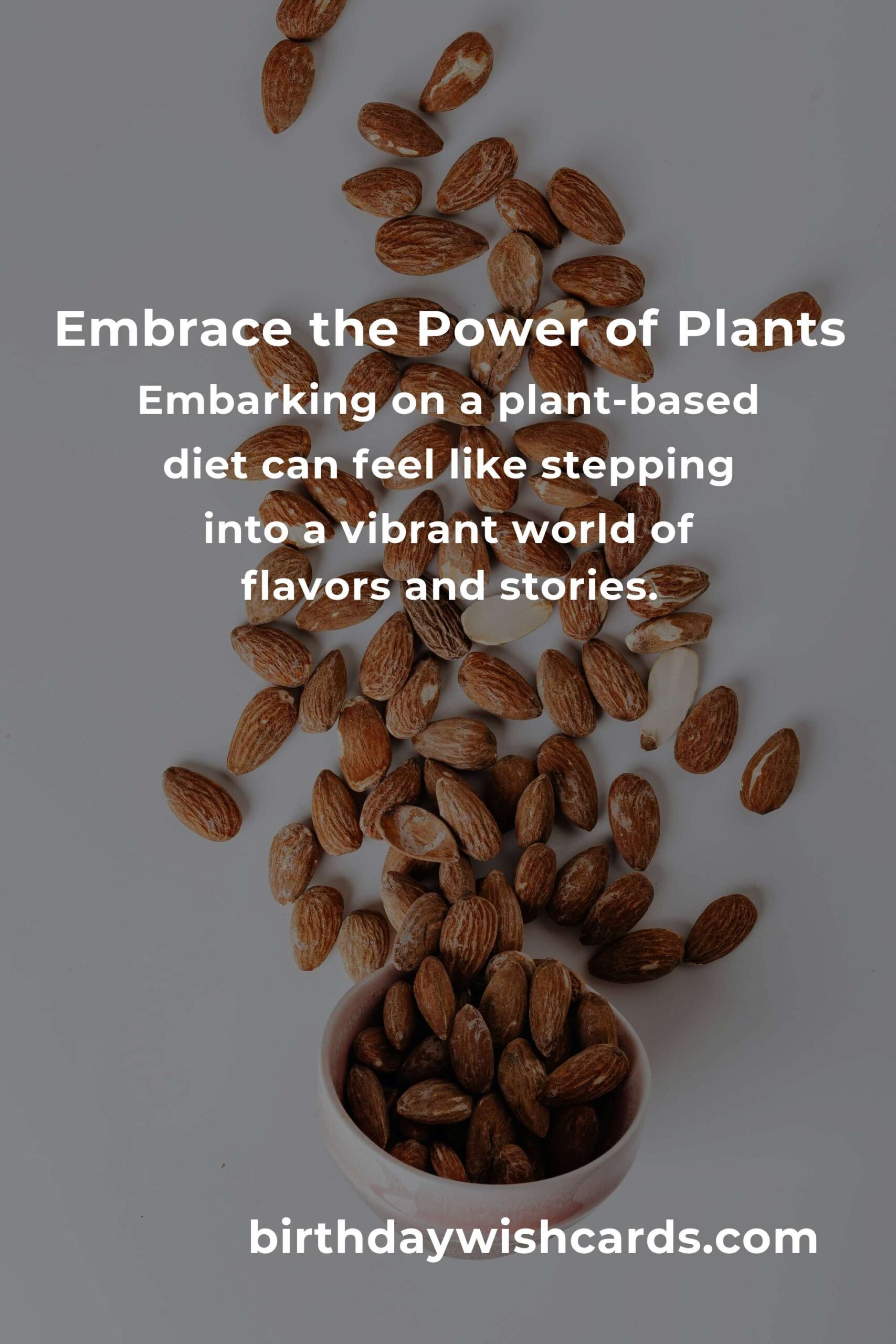 Discovering Plant-Based Protein: A Beginner’s Heartfelt Guide