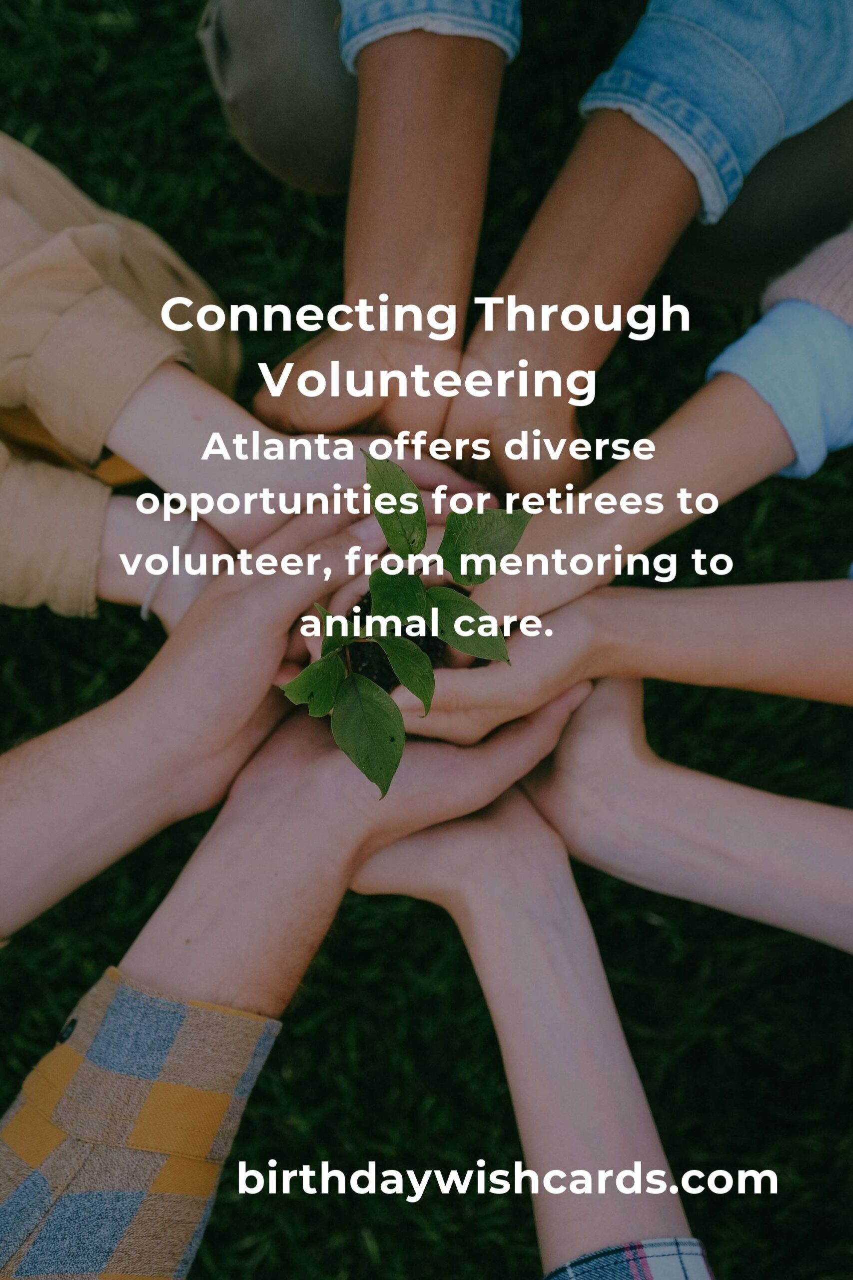 Discovering Purpose and Joy: Volunteer Opportunities for Retirees in Atlanta