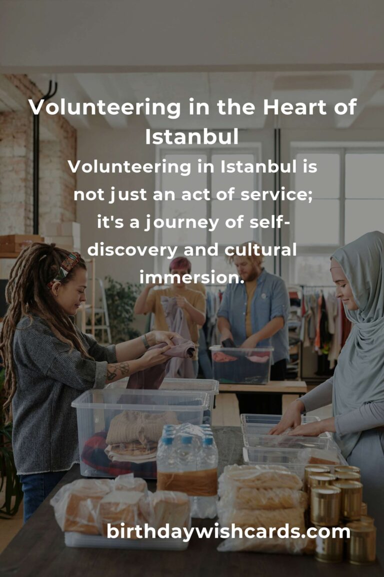 Embrace the Heart of Istanbul: A Professional’s Guide to Volunteering