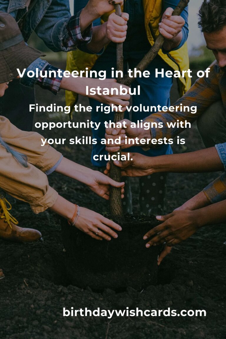 Embrace the Heart of Istanbul: A Professional's Guide to Volunteering