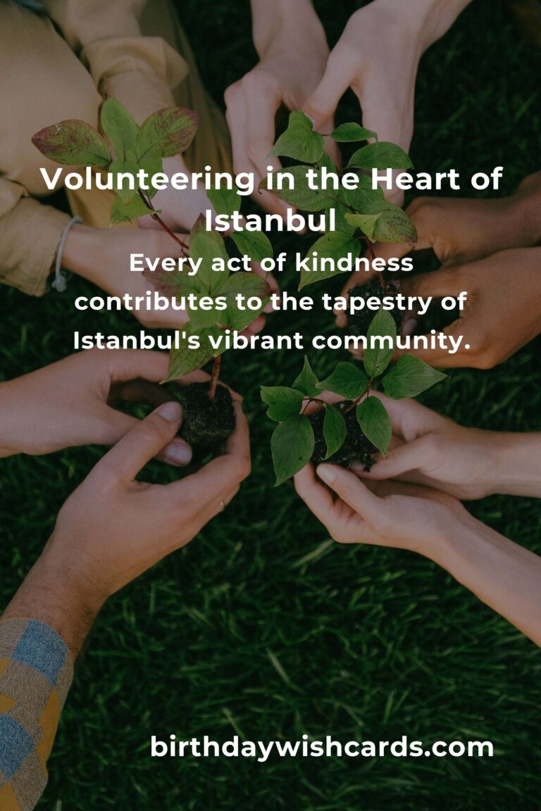 Embrace the Heart of Istanbul: A Professional's Guide to Volunteering