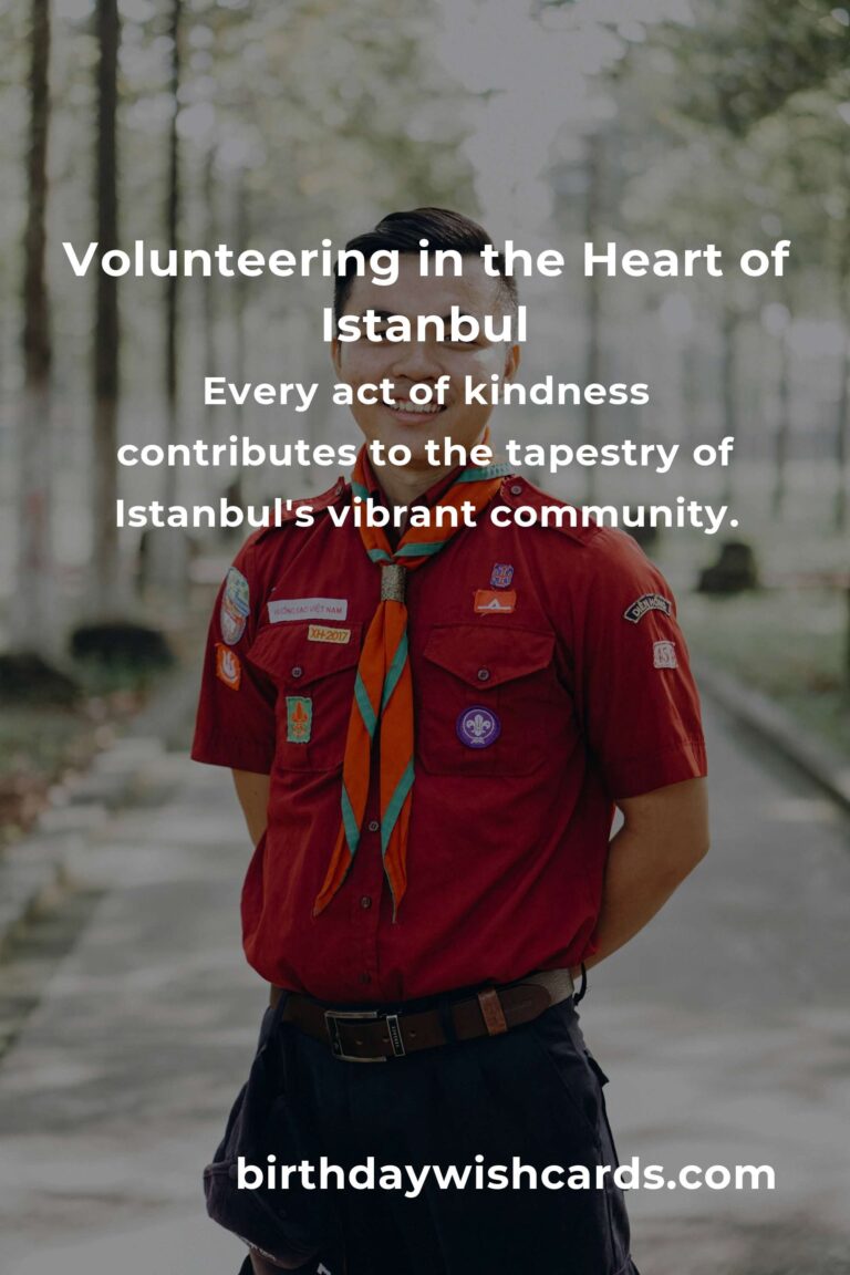 Embrace the Heart of Istanbul: A Professional's Guide to Volunteering