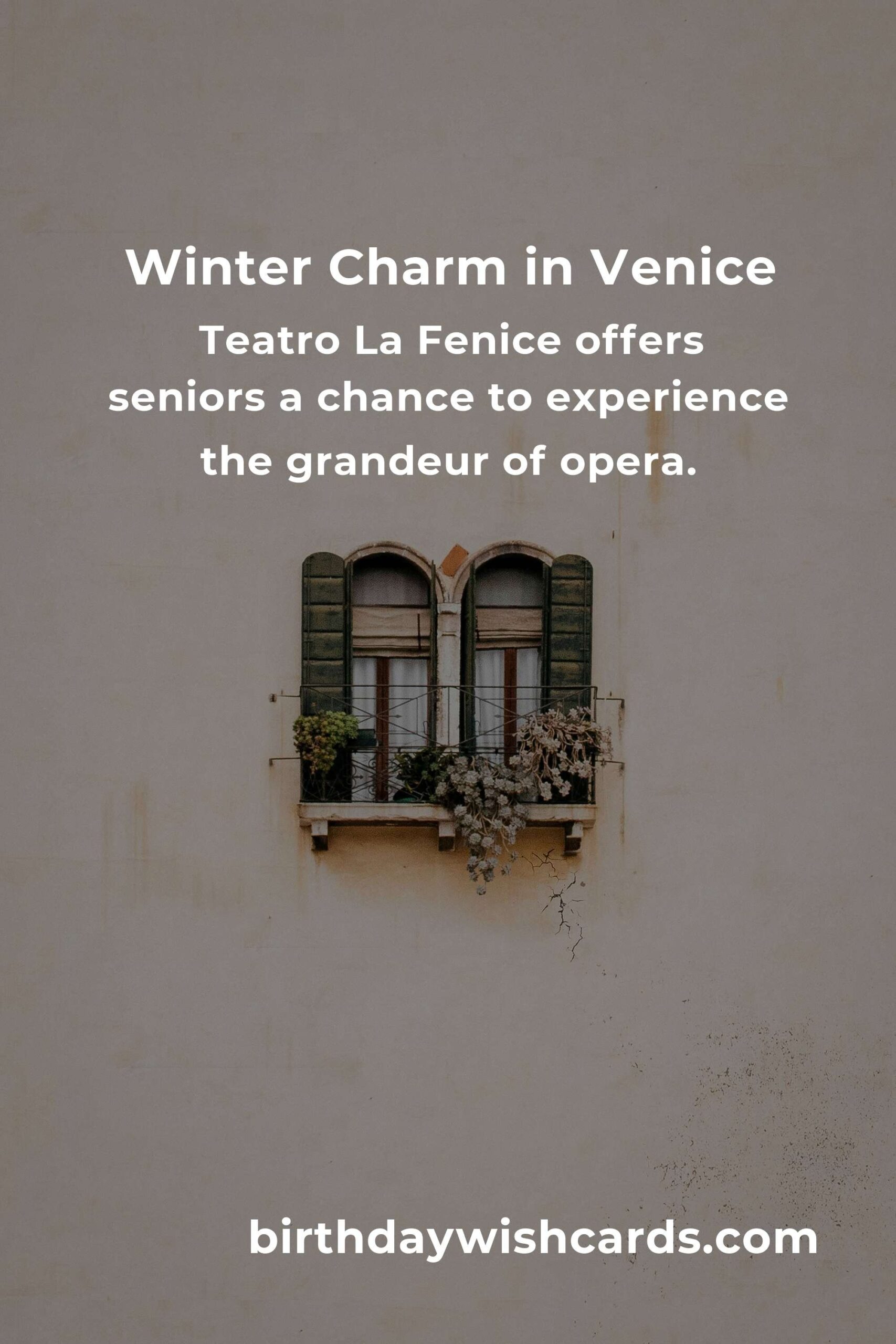 Embrace the Magic: Best Winter Events in Venice for Seniors