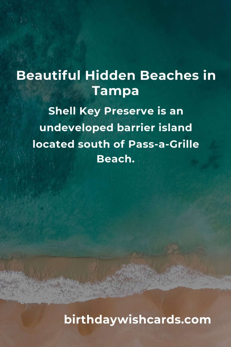 Explore Hidden Beach Vacations in Tampa You Must See
