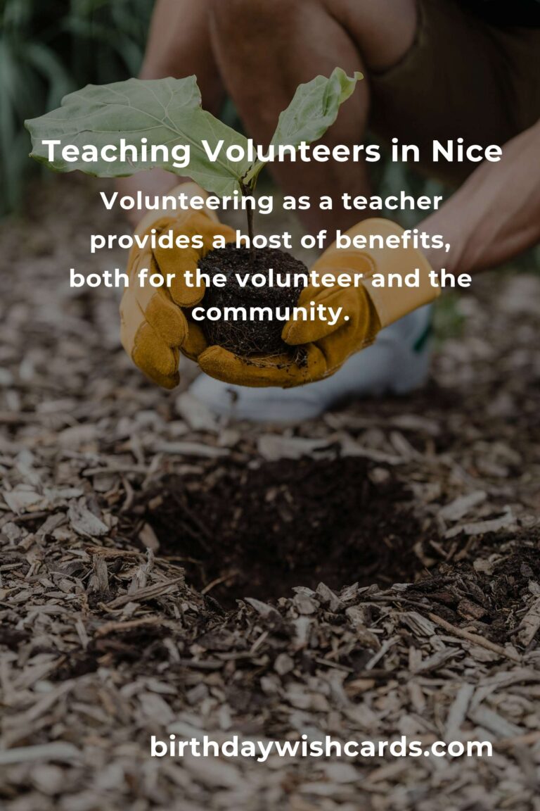 Explore Teaching Volunteer Opportunities in Nice for a Rewarding Experience
