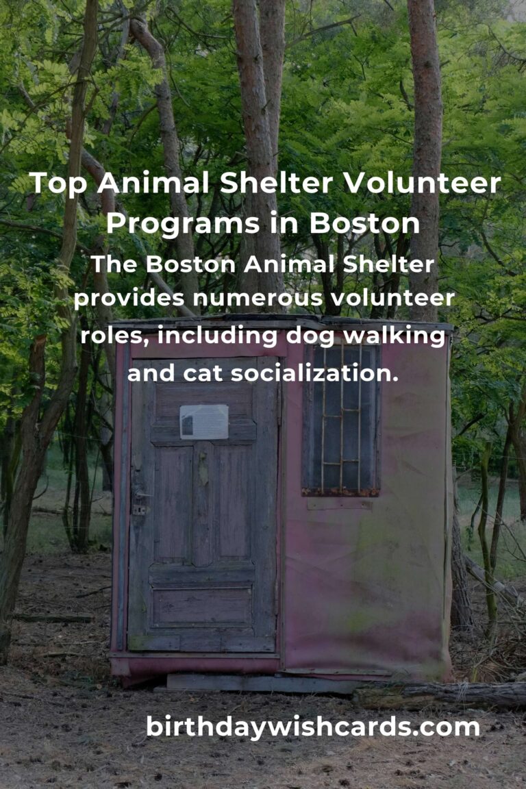 Explore the Best Animal Shelter Volunteer Programs in Boston