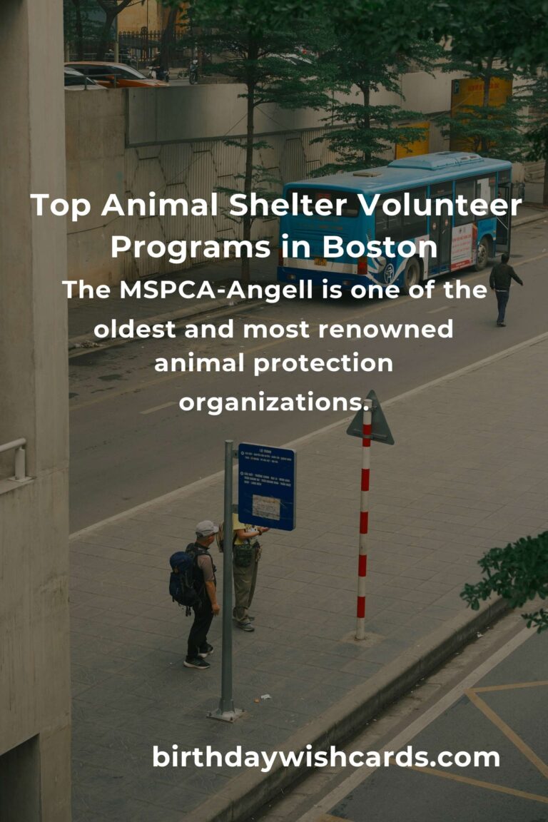 Explore the Best Animal Shelter Volunteer Programs in Boston