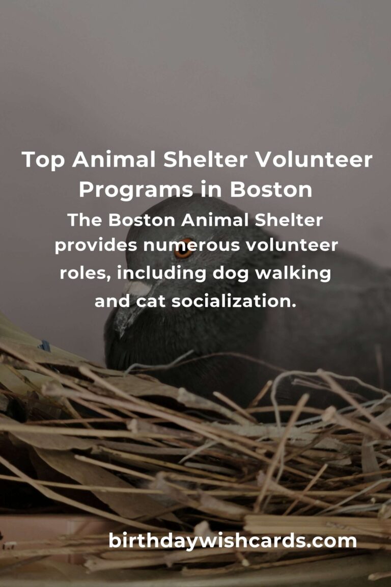 Explore the Best Animal Shelter Volunteer Programs in Boston