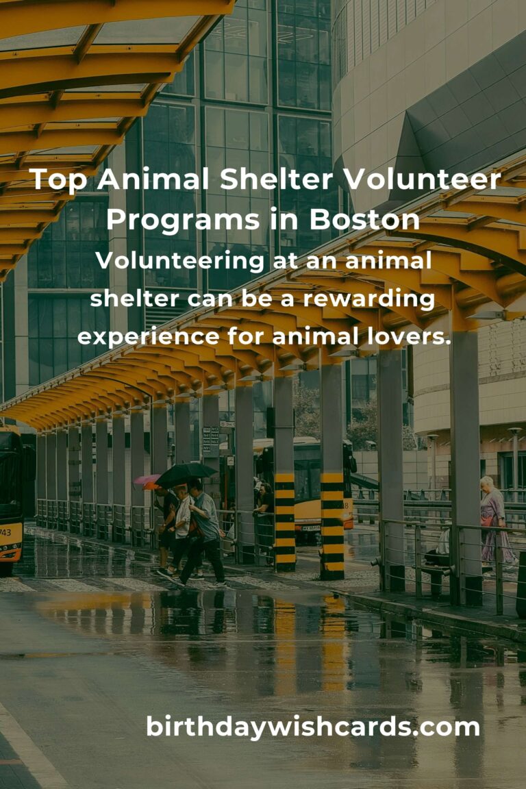 Explore the Best Animal Shelter Volunteer Programs in Boston