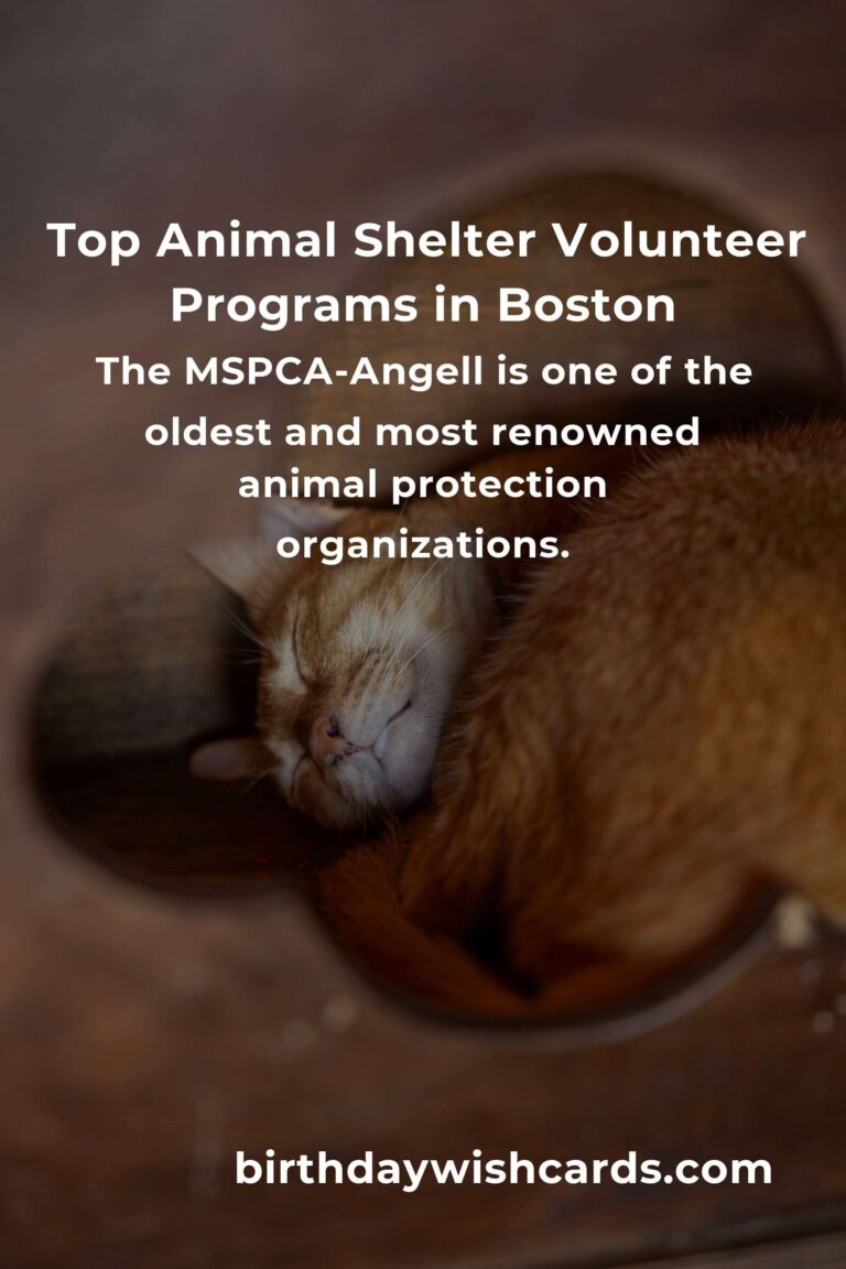 Explore the Best Animal Shelter Volunteer Programs in Boston