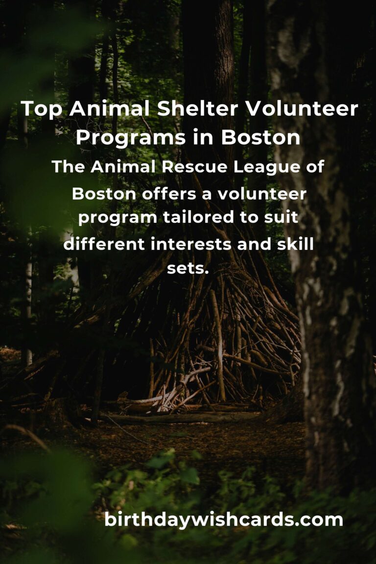 Explore the Best Animal Shelter Volunteer Programs in Boston