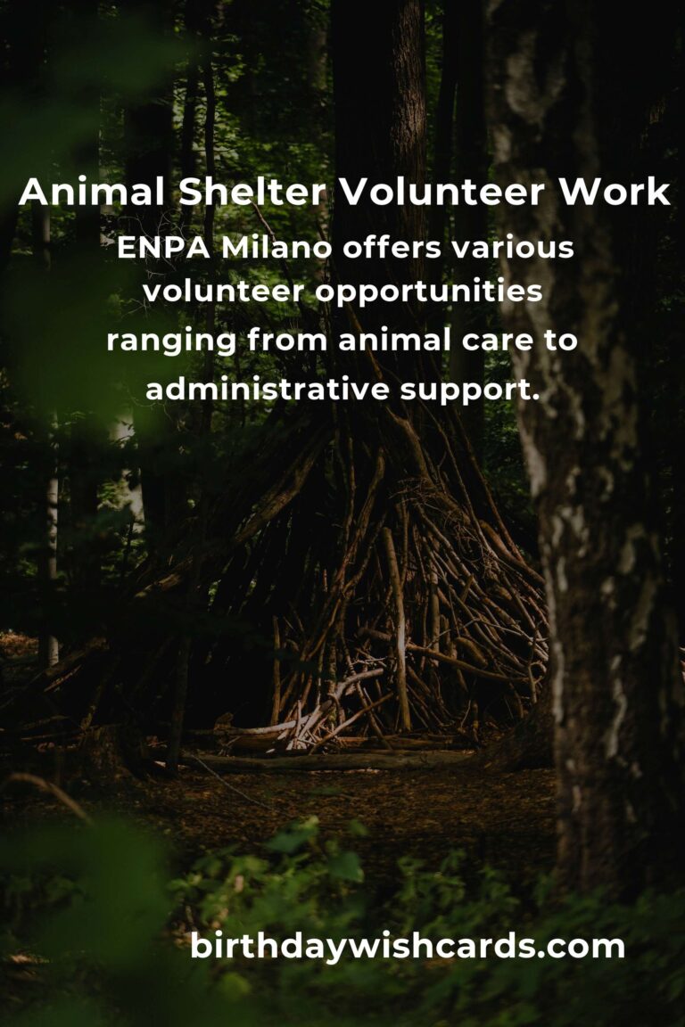 Explore the Best Animal Shelter Volunteer Programs in Milan
