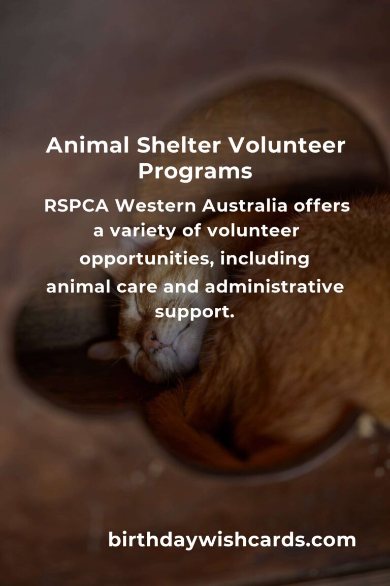 Explore the Best Animal Shelter Volunteer Programs in Perth
