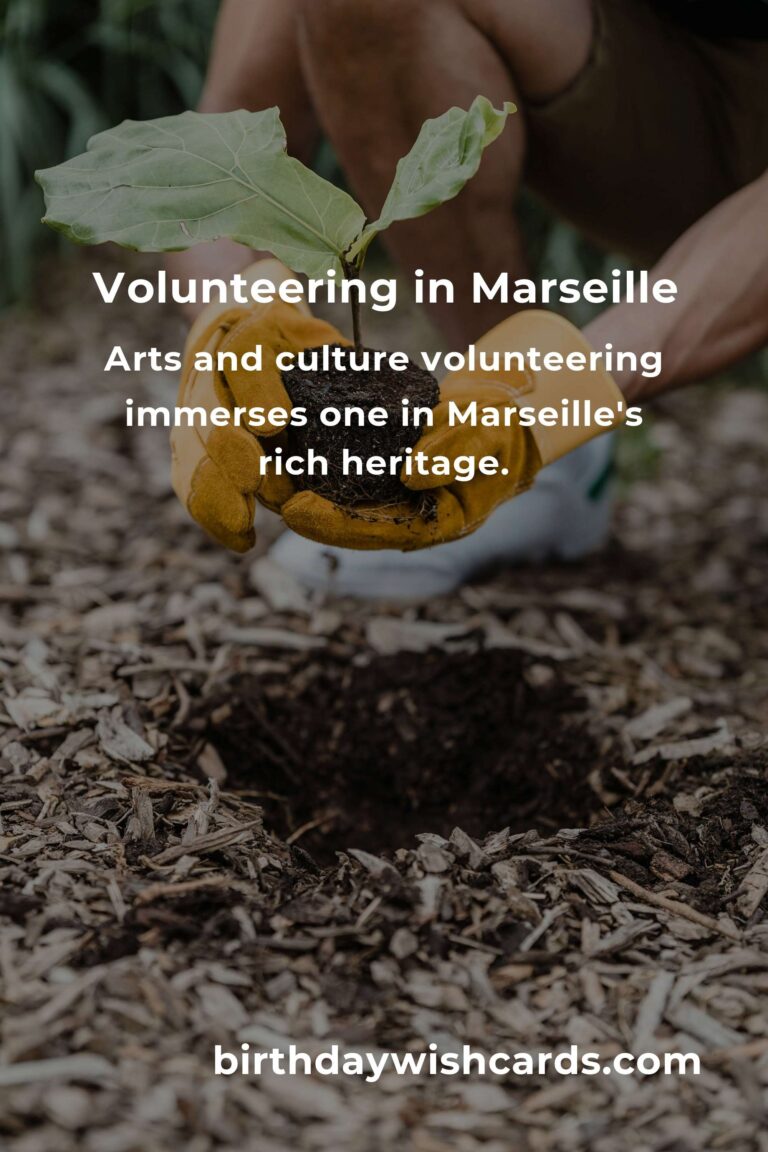 Exploring Fulfilling Volunteer Opportunities for Empty Nesters in Marseille