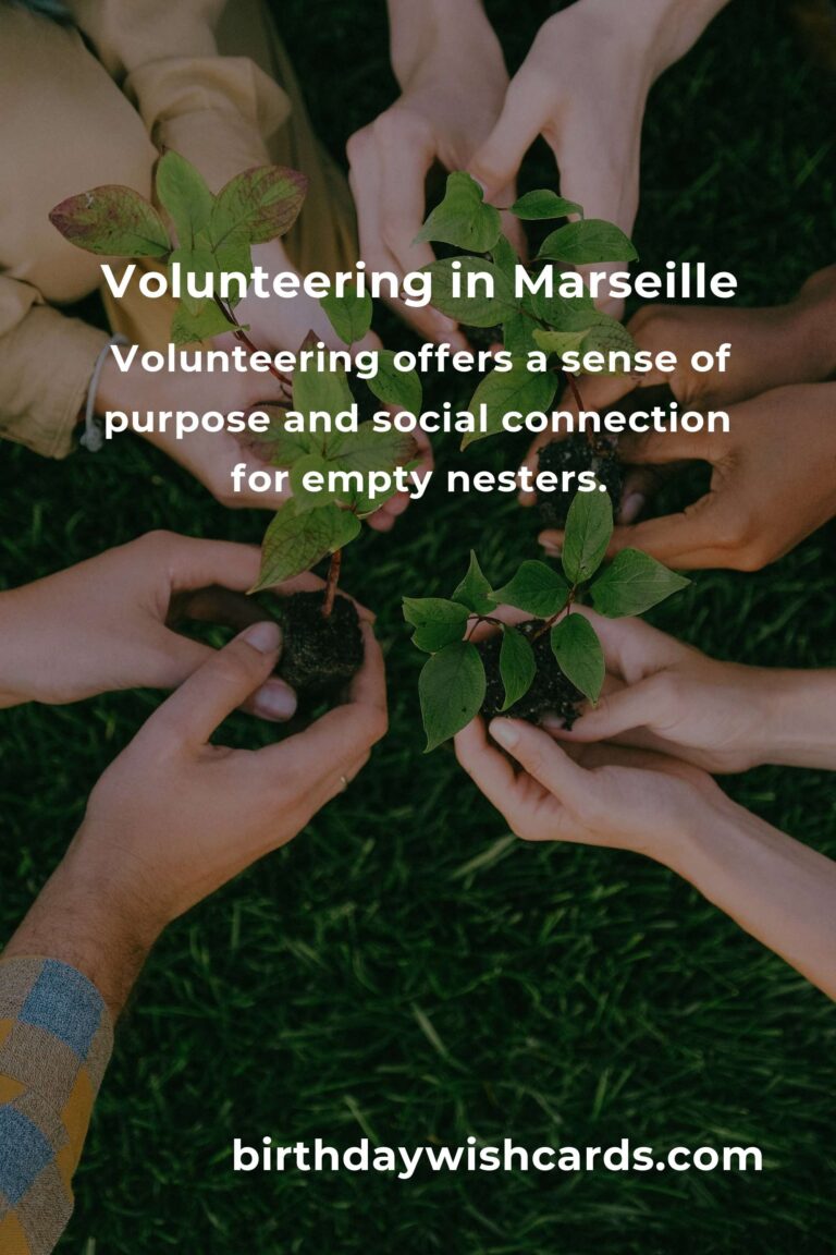Exploring Fulfilling Volunteer Opportunities for Empty Nesters in Marseille