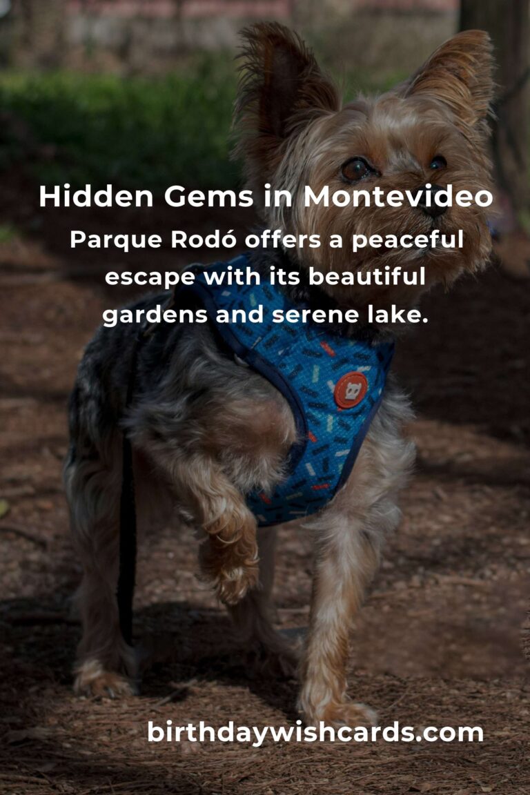 Exploring Hidden Gems in Montevideo: Your Ultimate Guide to Discovering the City