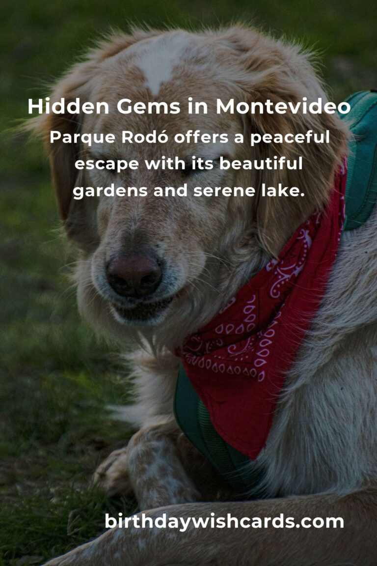 Exploring Hidden Gems in Montevideo: Your Ultimate Guide to Discovering the City