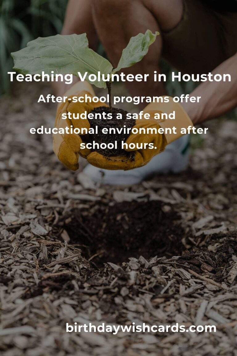 Exploring Teaching Volunteer Opportunities in Houston