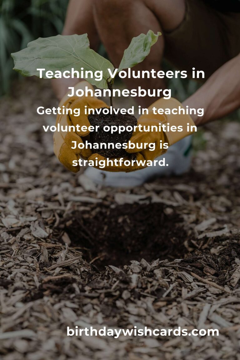 Exploring Teaching Volunteer Opportunities in Johannesburg