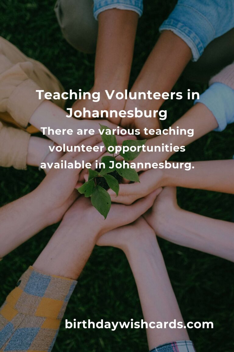 Exploring Teaching Volunteer Opportunities in Johannesburg