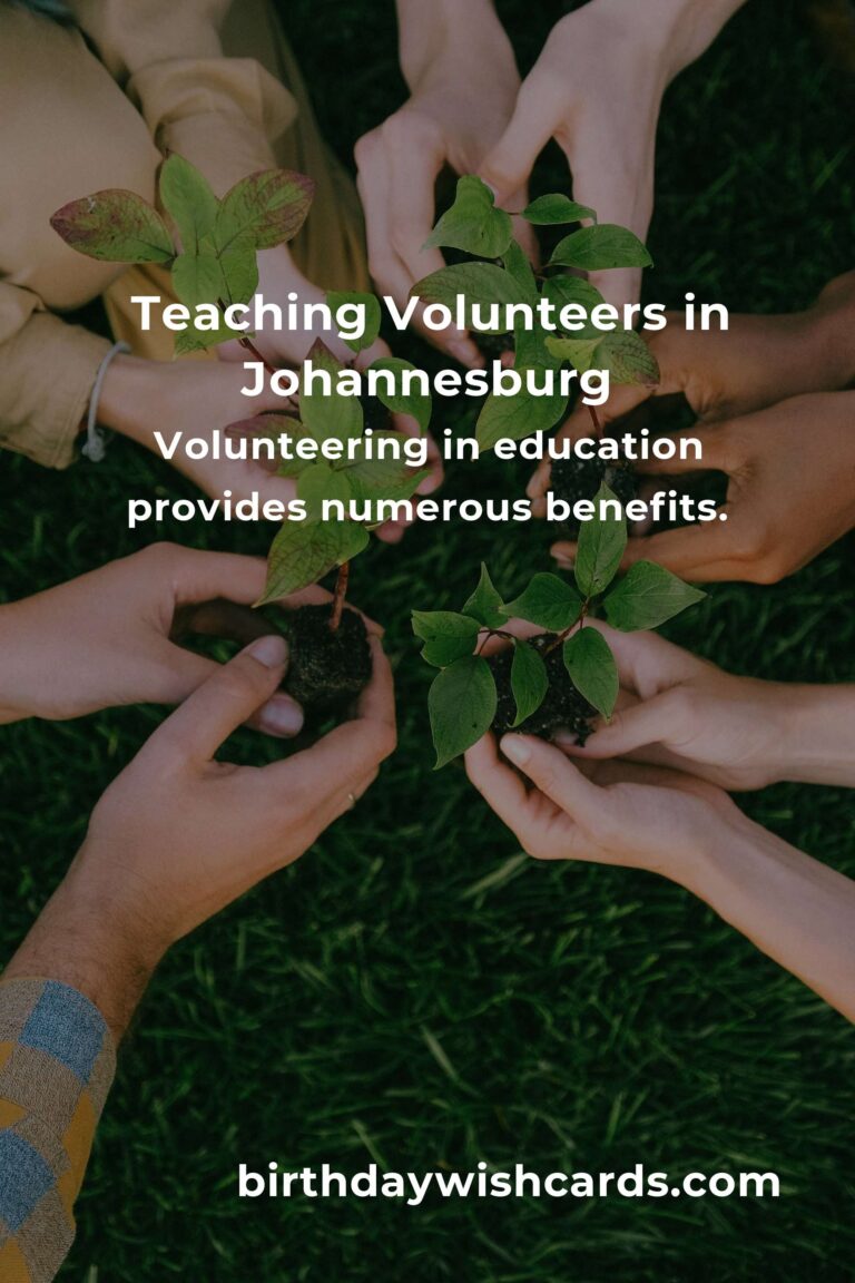 Exploring Teaching Volunteer Opportunities in Johannesburg