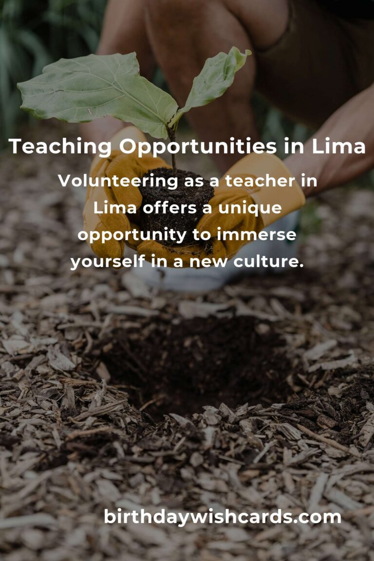 Exploring Teaching Volunteer Opportunities in Lima