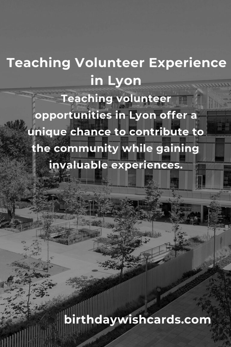 Exploring Teaching Volunteer Opportunities in Lyon for Enriching Experiences