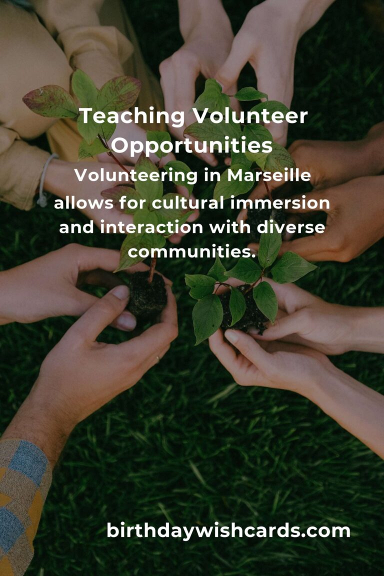 Exploring Teaching Volunteer Opportunities in Marseille
