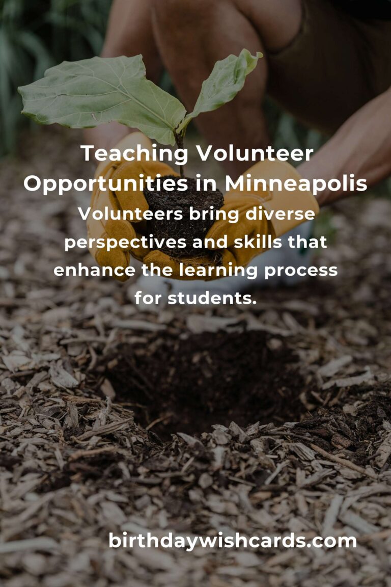 Exploring Teaching Volunteer Opportunities in Minneapolis