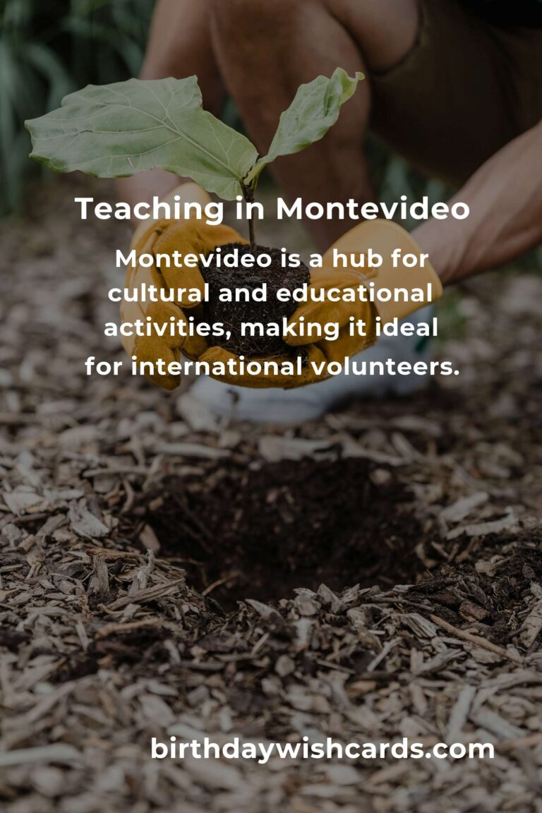 Exploring Teaching Volunteer Opportunities in Montevideo
