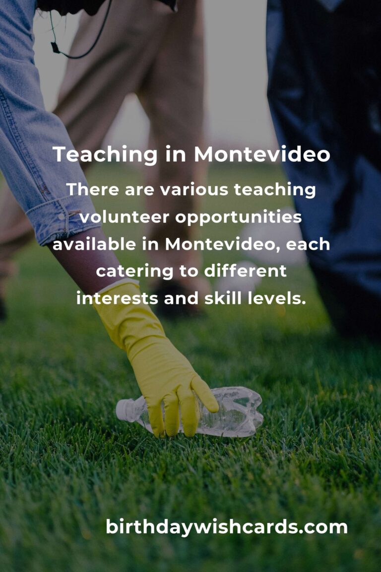 Exploring Teaching Volunteer Opportunities in Montevideo