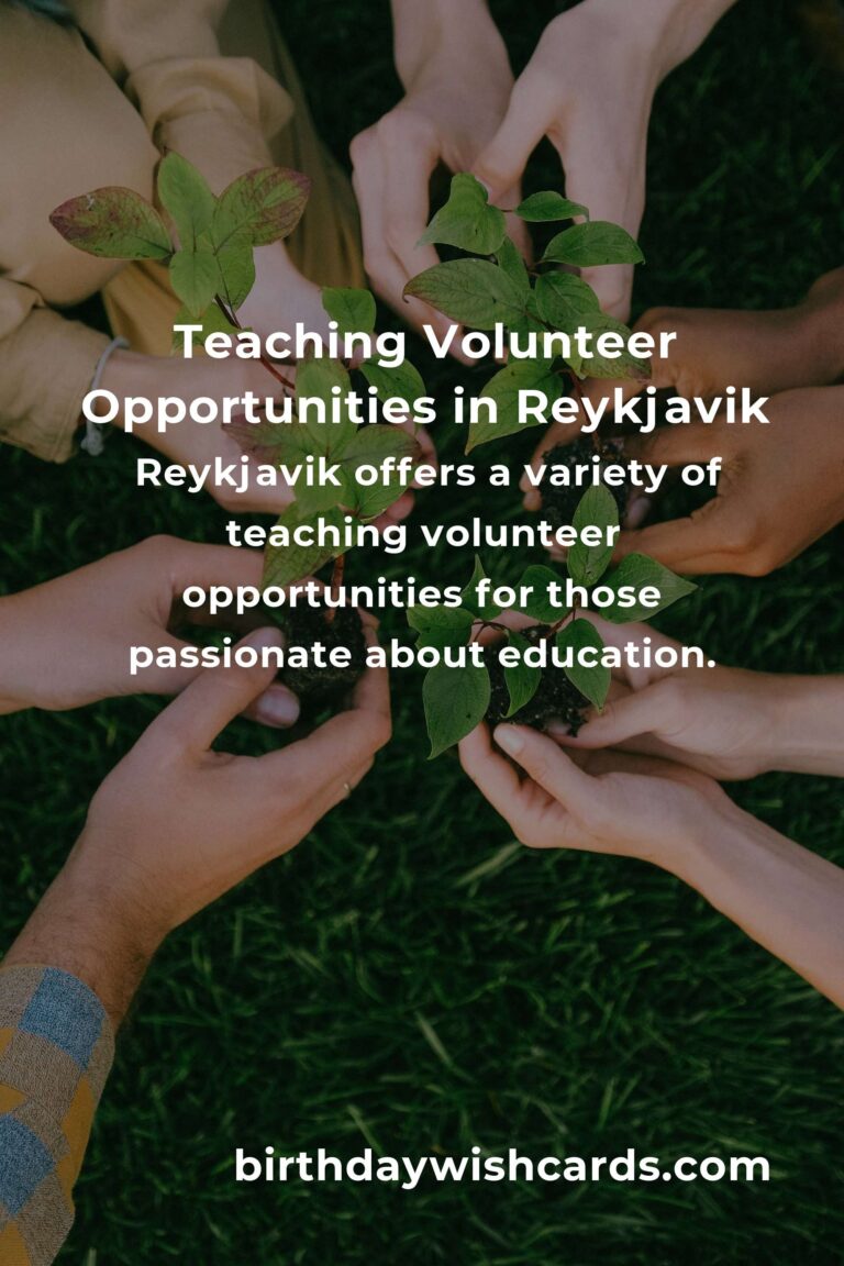 Exploring Teaching Volunteer Opportunities in Reykjavik for a Meaningful Experience