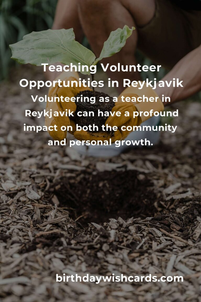 Exploring Teaching Volunteer Opportunities in Reykjavik for a Meaningful Experience