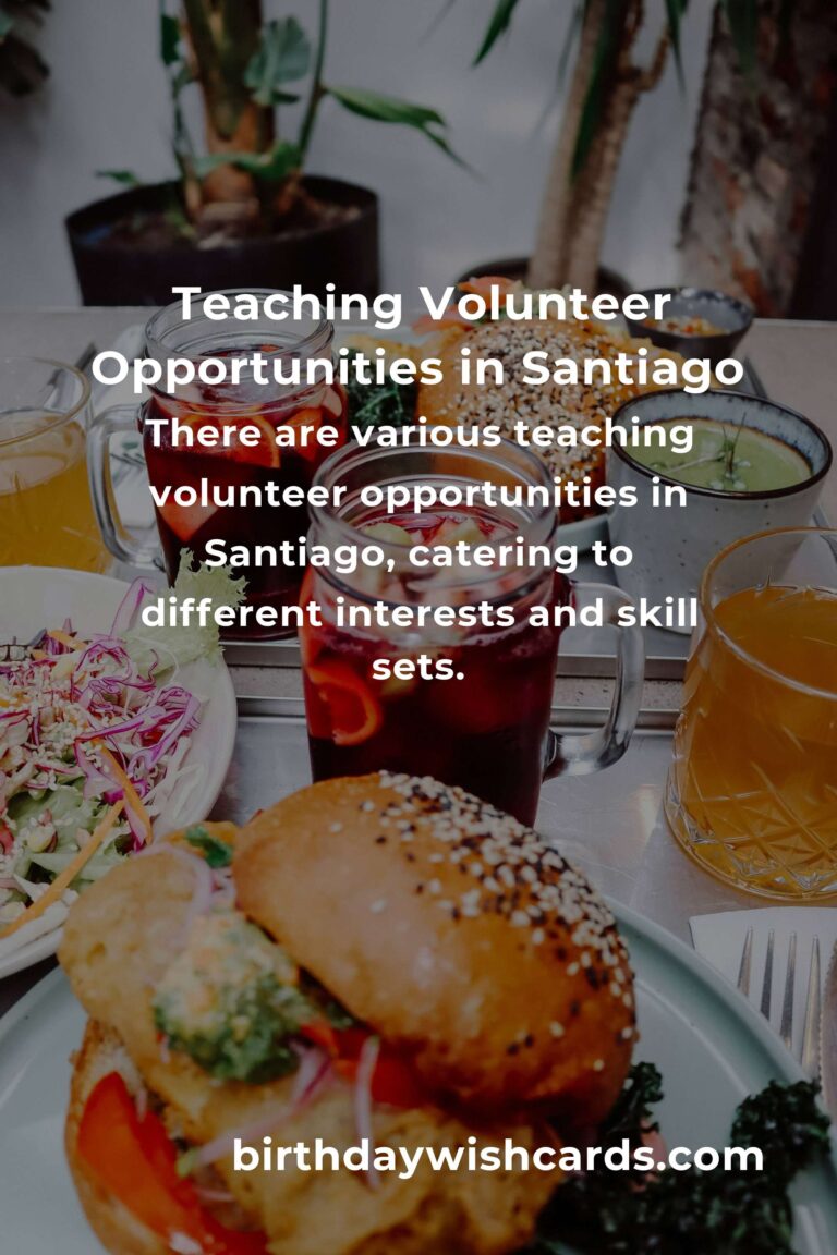 Exploring Teaching Volunteer Opportunities in Santiago