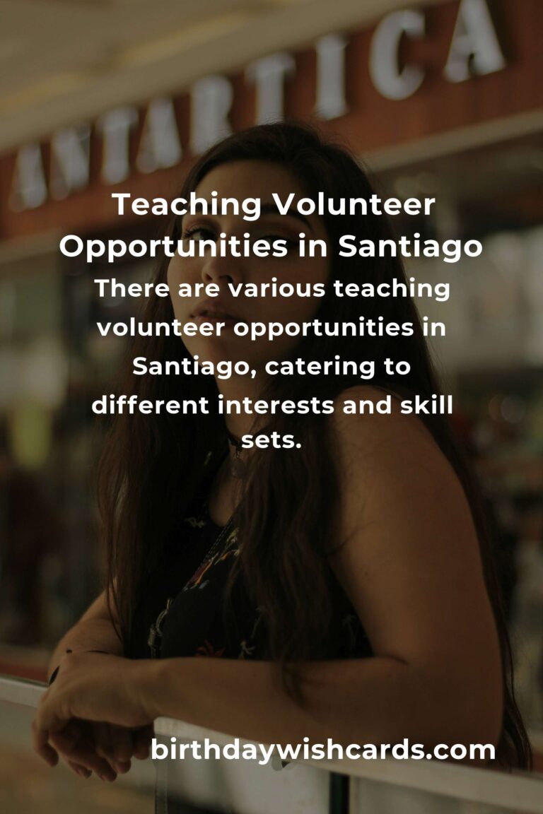 Exploring Teaching Volunteer Opportunities in Santiago