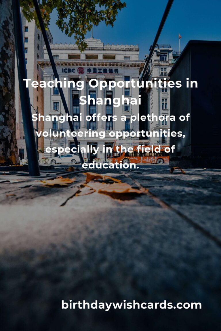 Exploring Teaching Volunteer Opportunities in Shanghai