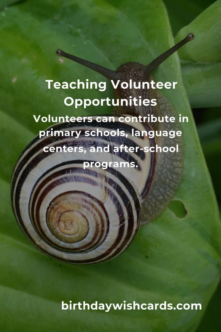 Exploring Teaching Volunteer Opportunities in Zurich