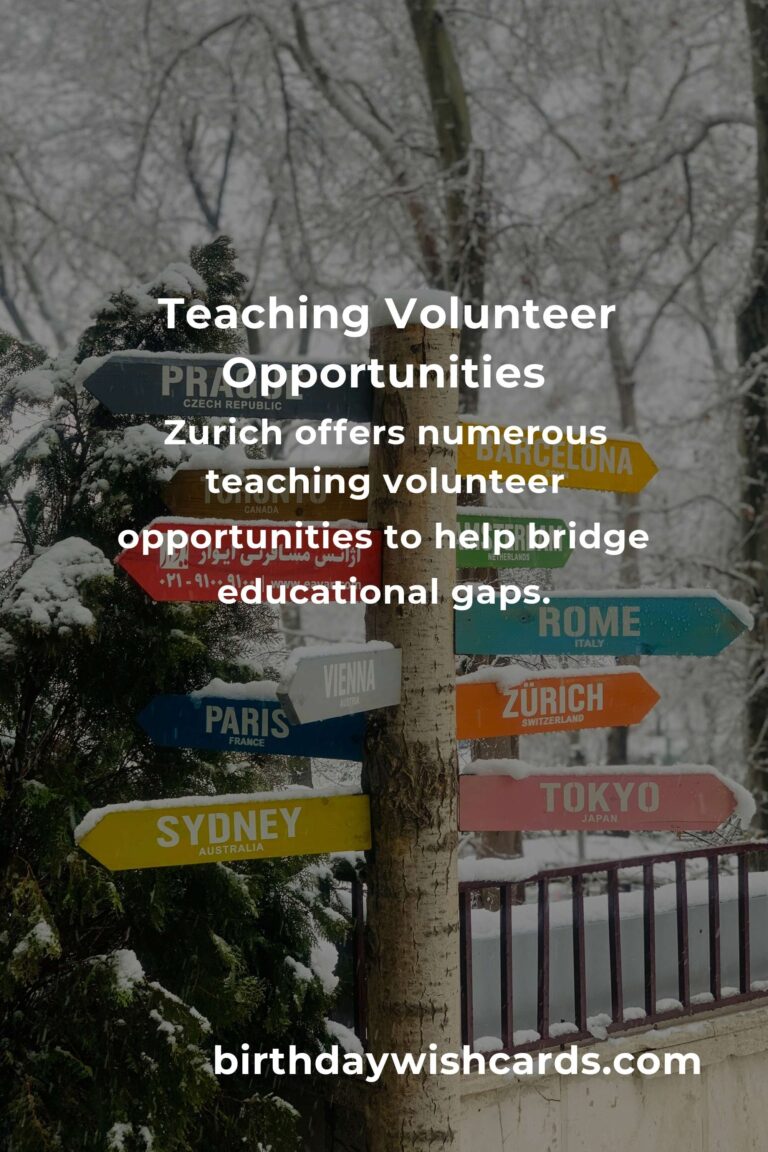 Exploring Teaching Volunteer Opportunities in Zurich