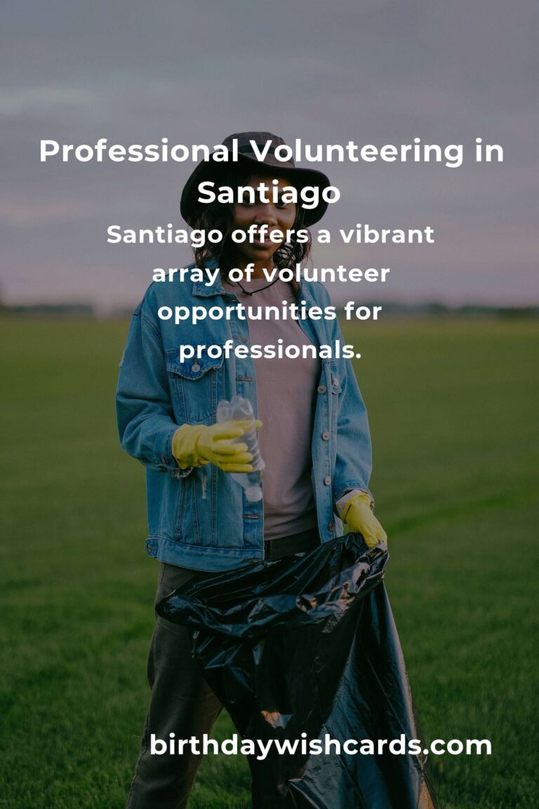 Exploring Volunteer Opportunities for Professionals in Santiago