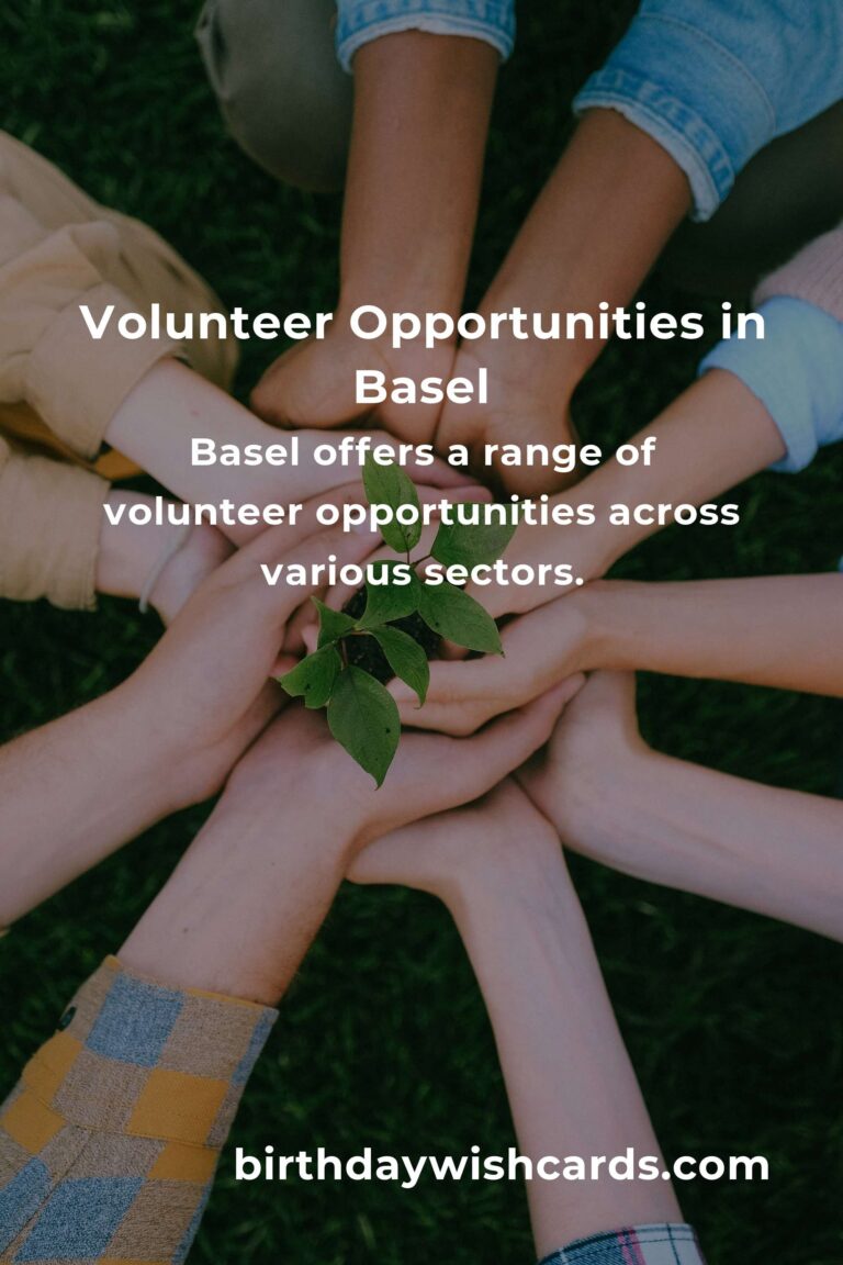 Exploring Volunteer Opportunities for Young Adults in Basel