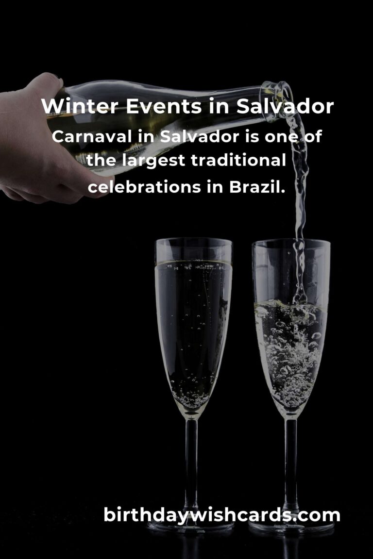 Exploring the Best Winter Events in Salvador for Retirees