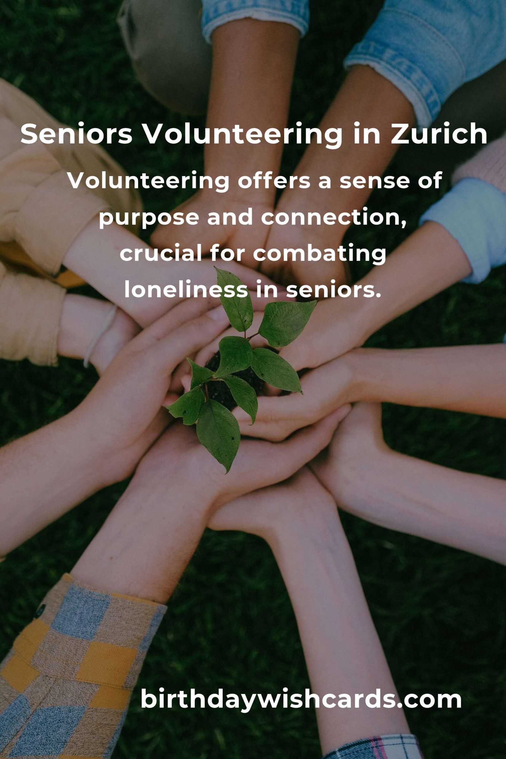 Finding Meaning: How Seniors Can Start Volunteering in Zurich
