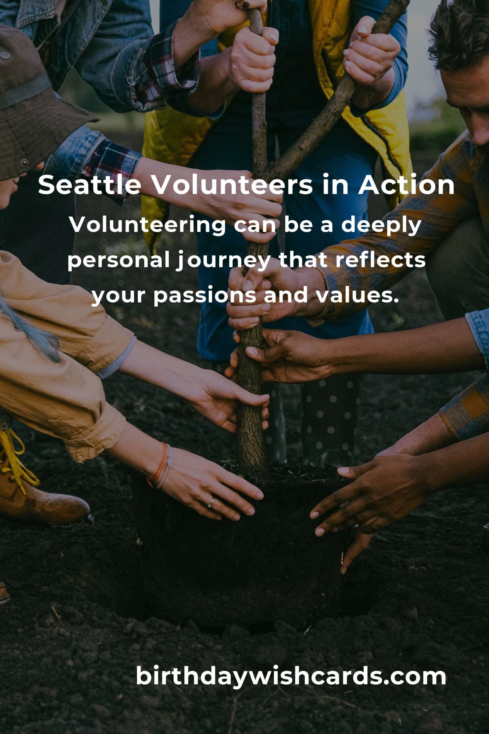 Finding Purpose Again: Volunteer Opportunities for Empty Nesters in Seattle