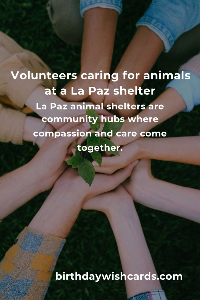 Finding Purpose: The Best Animal Shelter Volunteer Programs in La Paz